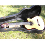 Alhambra Guitars - Alhambra 5P-CW