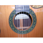 Alhambra Guitars - Alhambra 5P-CW