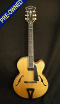 Anderson Model 17