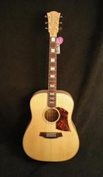 Cole Clark FL2A