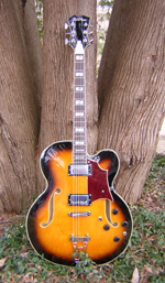 DiPinto Guitars - DiPinto Baccus