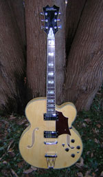 DiPinto Guitars - DiPinto Baccus - Blonde