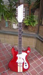 DiPinto Guitars - DiPinto Mach XII (12 String)