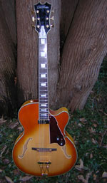 DiPinto Guitars - DiPinto Philadelphian - Honey Burst