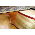 Kronbauer Myrtle MJ - SOLD