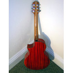 Kronbauer Small Body Cutaway