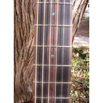 Kronbauer Small Body