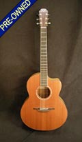 Lowden FX35cx