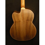 Mcilroy Guitars - Mcilroy A25C