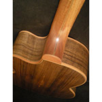 Mcilroy AS25c - Walnut/Cedar