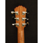 Morgan Concert - Rosewood/Sitka