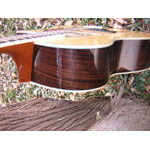 Morgan Guitars - Morgan Concert Cutaway