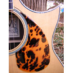 Morgan Guitars - Morgan Concert Cutaway
