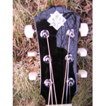 Morgan Guitars - Morgan Concert Cutaway