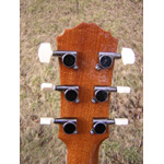 Morgan Guitars - Morgan Concert Cutaway