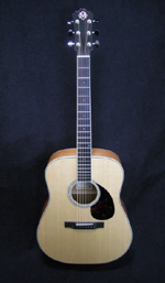 Morgan Guitars - Morgan Dreadnought