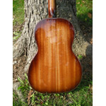 Northwood Guitars - Northwood OO-M80