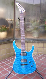 Robin Avalon Guitars - Robin Medley Exotic Top