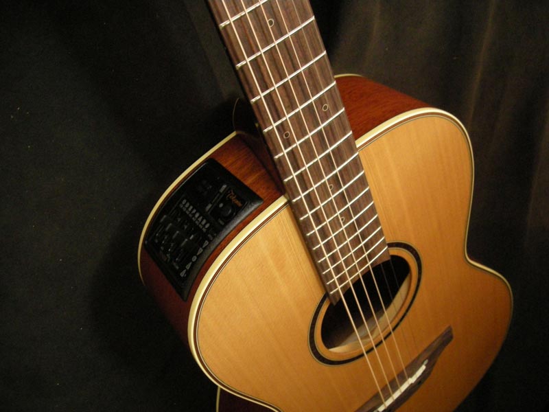 Paramount Guitars - Unique Handmade Guitars | Takamine P3NY