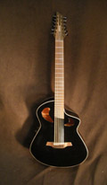 Veillette 12 String Bari