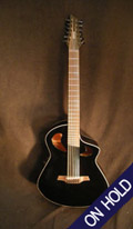 Veillette 12 String Bari