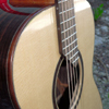 Josh House Guitars