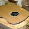 Josh House Guitars