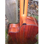 Alhambra Guitars - Alhambra 5P-CW