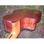 Alhambra Guitars - Alhambra 5P-CW