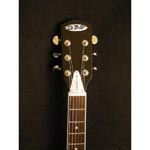 DiPinto Belvedere Junior