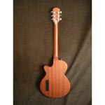 DiPinto Belvedere Junior