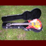 Duesenberg Guitars - Duesenberg Double Cat