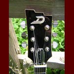 Duesenberg Guitars - Duesenberg Double Cat