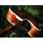 Eastman Guitars - Eastman AR810CE