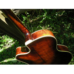 Eastman Guitars - Eastman AR810CE