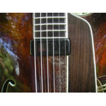 Eastman Guitars - Eastman AR810CE