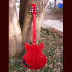 Eastwood Guitars - Eastwood Delta 6