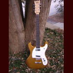 Eastwood Guitars - Eastwood JR Elite