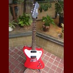 Eastwood Guitars - Eastwood Stormbird