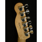 Fender Ash Tele