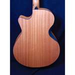 Furch Blue Perfomance