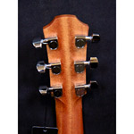 Furch Pioneer EM