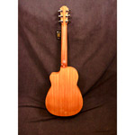 Furch Pioneer EM