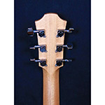Furch Violet DLX GC-SM