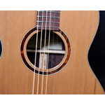 Gallagher GC-60