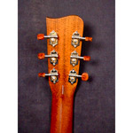Gallagher GC-60