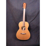 Gallagher GC-60
