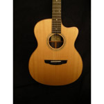 Goodall Guitars - Goodall RCJC (used)