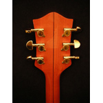 Gretsch Guitars - Gretsch 6120