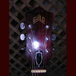 Guild T50